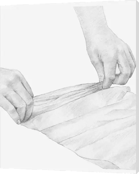 Black and white illustration of hands pleating a strip of tissue paper, to wrap a dried onion seed head in (storing dried flowers)