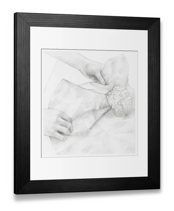 Framed Print : Black and white illustration of hands wrapping dried hydrangea flower in tissue paper (storing dried flowers) Framed Print : Black and white illustration of hands wrapping dried hydrangea flower in tissue paper (storing dried flowers)