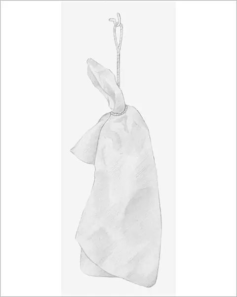 Black and white illustration of dried hydrangea flower hung up to dry, wrapped individually in tissue paper (storing dried flowers)