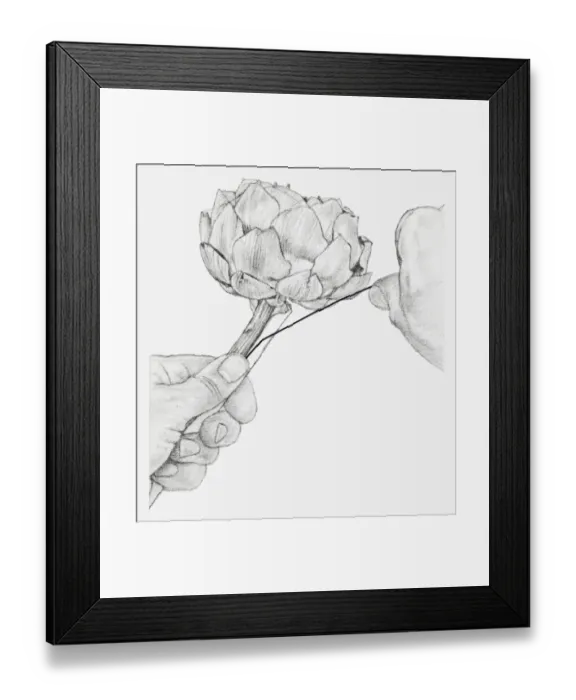 Framed Print : Black and white illustration of hands wiring a dried globe artichoke, with a piece of cane placed against the stem