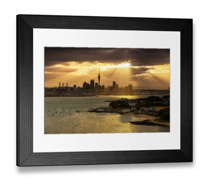 Framed Print : Auckland City Framed Print : Auckland City