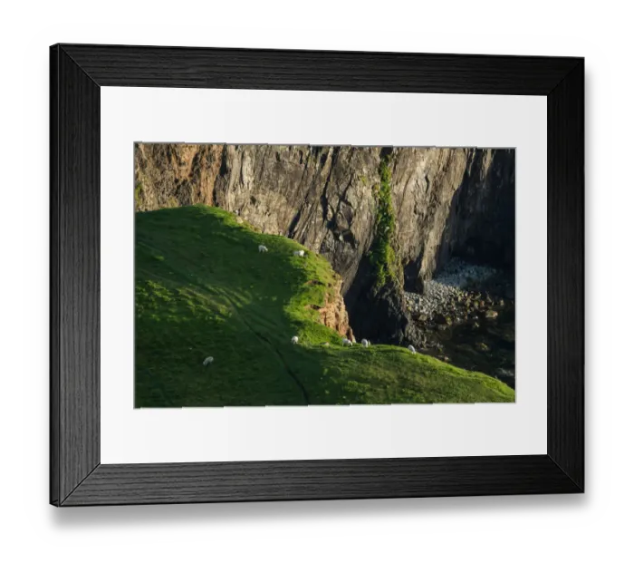 Framed Print : Group of sheep at Isle of Skye Framed Print : Group of sheep at Isle of Skye