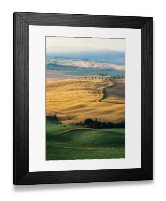 Framed Print : Tuscany Field in Summer Season Framed Print : Tuscany Field in Summer Season