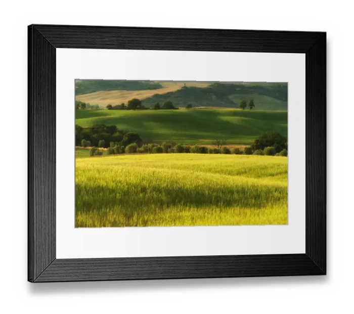 Framed Print : Tuscany Field in Summer Season Framed Print : Tuscany Field in Summer Season