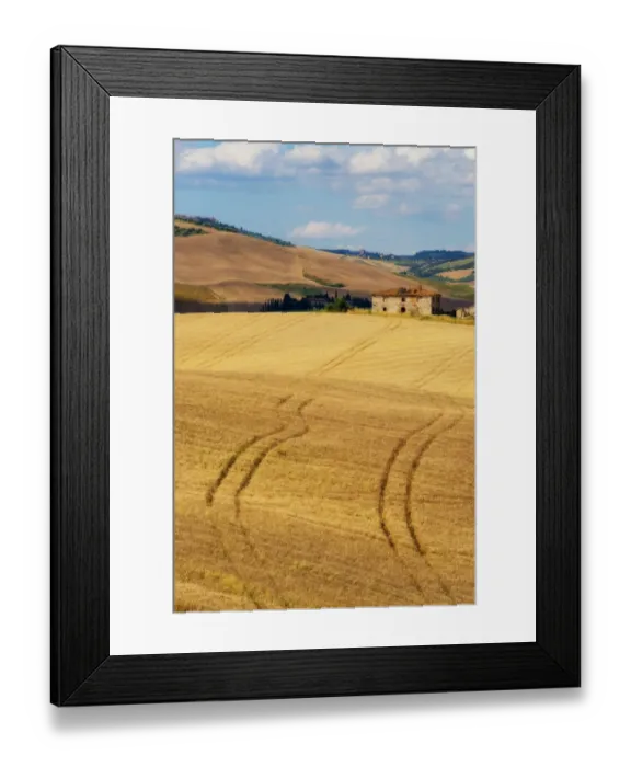 Framed Print : Tuscany Field in Summer Season Framed Print : Tuscany Field in Summer Season
