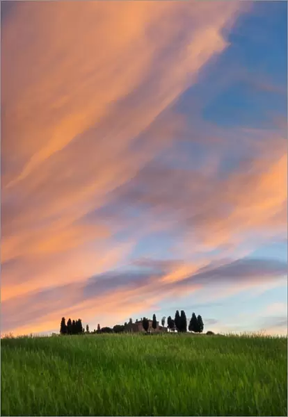 Twilight Sky over Tuscany Field