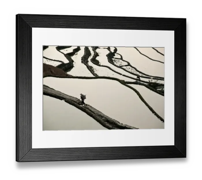 Framed Print : Yuanyang rice terrace, Yunnan, China Framed Print : Yuanyang rice terrace, Yunnan, China