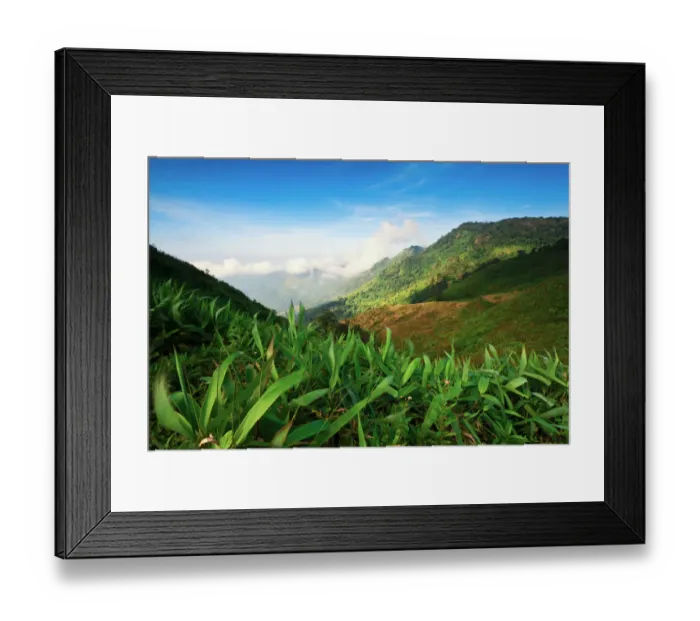 Framed Print : Landscape of Phu Tub Bek, Phetchabun Thailand Framed Print : Landscape of Phu Tub Bek, Phetchabun Thailand