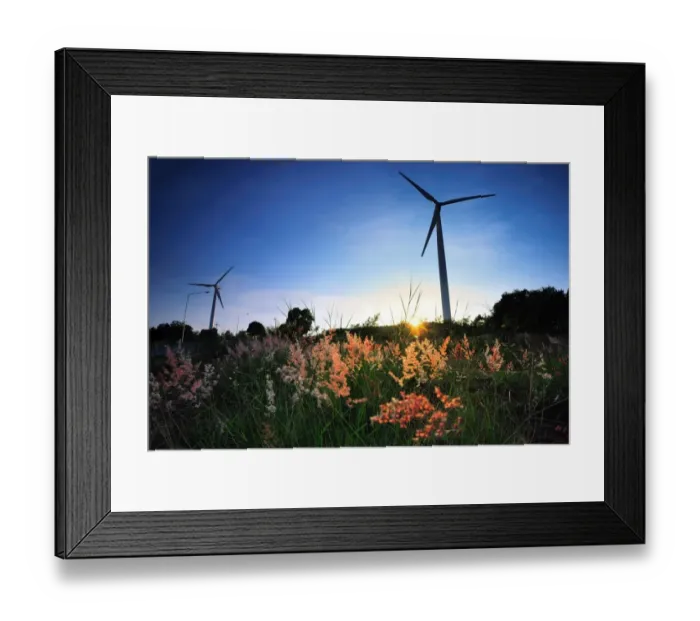 Framed Print : Wind turbines and the flower foreground Framed Print : Wind turbines and the flower foreground