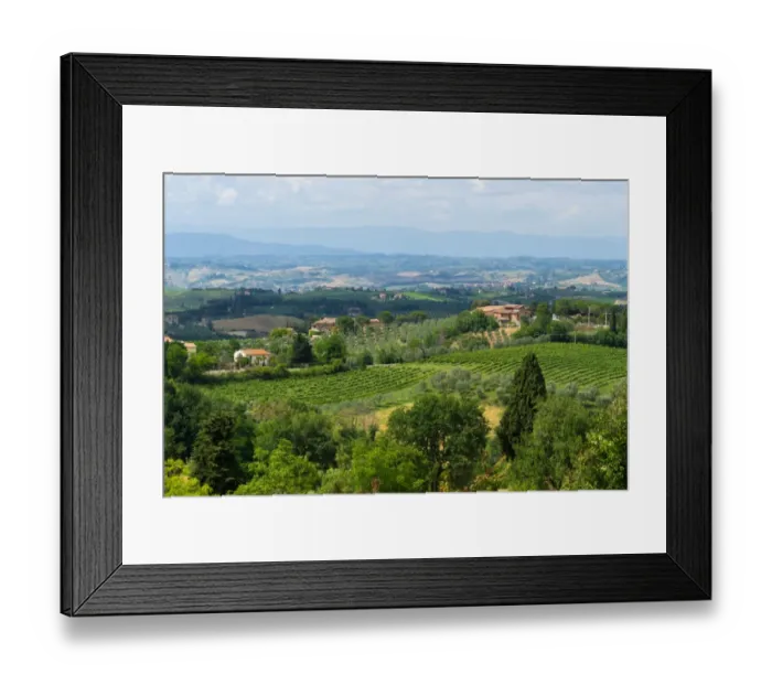 Framed Print : Vineyard in Tuscany, Italy Framed Print : Vineyard in Tuscany, Italy