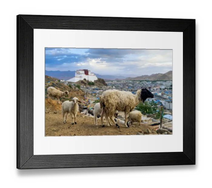 Framed Print : Shigatse Dzong, Tibet, China Framed Print : Shigatse Dzong, Tibet, China