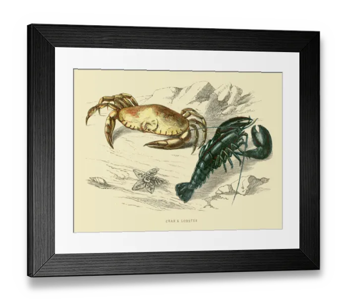 Framed Print : Crab and Lobster 1851 Framed Print : Crab and Lobster 1851