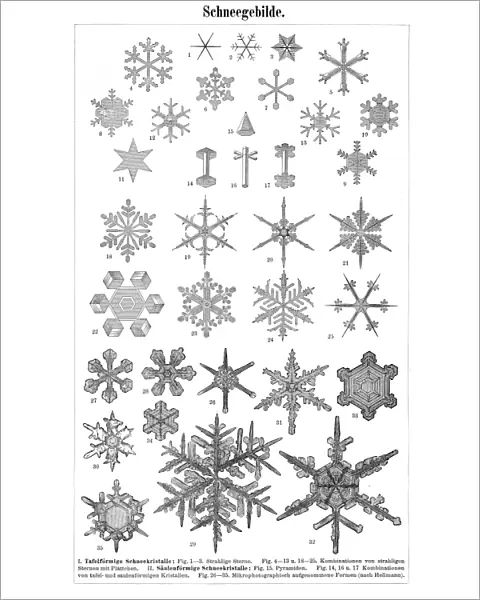 Snowflakes 1895