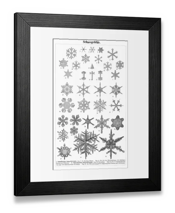 Framed Print : Snowflakes 1895 Framed Print : Snowflakes 1895