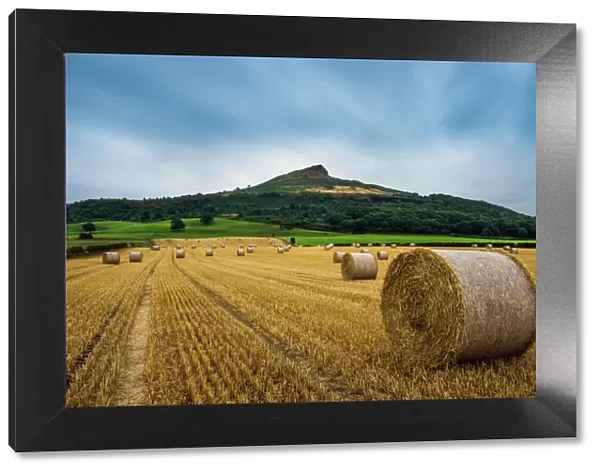 Straw bales and Roseberry Topping