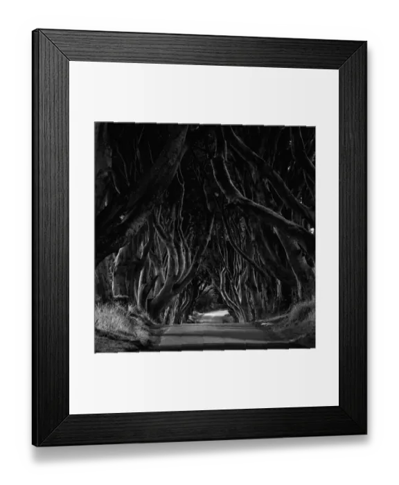 Framed Print : The dark hedges Framed Print : The dark hedges