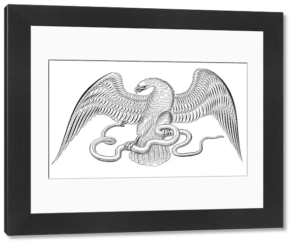 Eagle and snake penmanship calligraphy 1881
