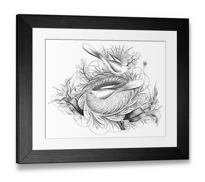 Framed Print : Birds and ribbons penmanship calligraphy 1881 Framed Print : Birds and ribbons penmanship calligraphy 1881