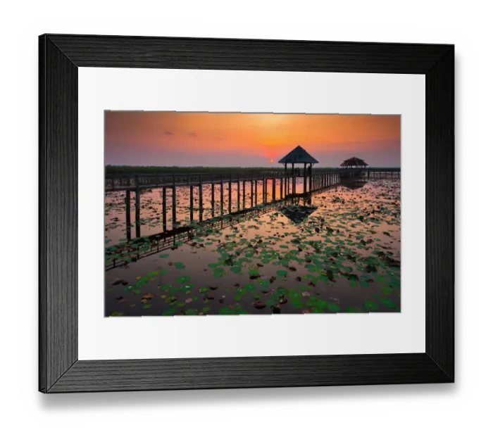 Framed Print : The wooden bridge and lotus pond Framed Print : The wooden bridge and lotus pond