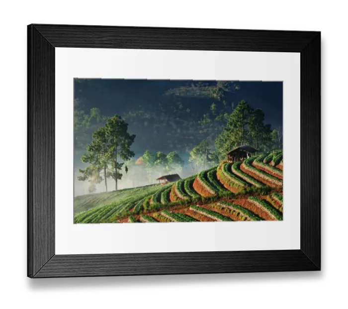Framed Print : Strawberry farm at Doi Ang Khang