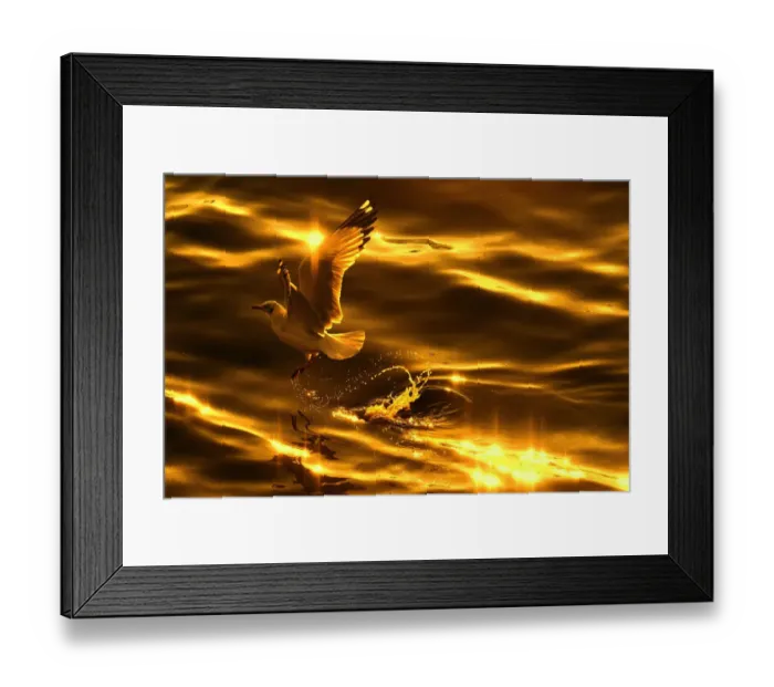 Framed Print : A seagull in golden tone Framed Print : A seagull in golden tone