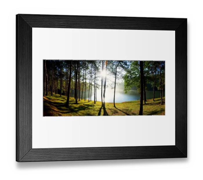 Framed Print : Pine forest in Pang Ung, Maehongson Framed Print : Pine forest in Pang Ung, Maehongson