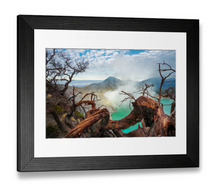 Framed Print : The dead branches and Ijen crater Framed Print : The dead branches and Ijen crater