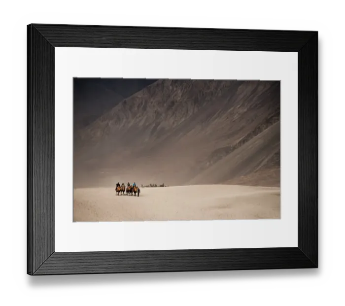 Framed Print : Camel caravan at Nubra sand dunes, India Framed Print : Camel caravan at Nubra sand dunes, India