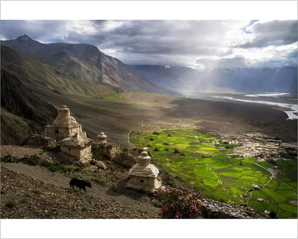 Stongdey Monastery and village, Zanskar