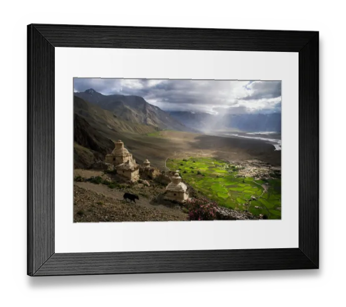 Framed Print : Stongdey Monastery and village, Zanskar Framed Print : Stongdey Monastery and village, Zanskar