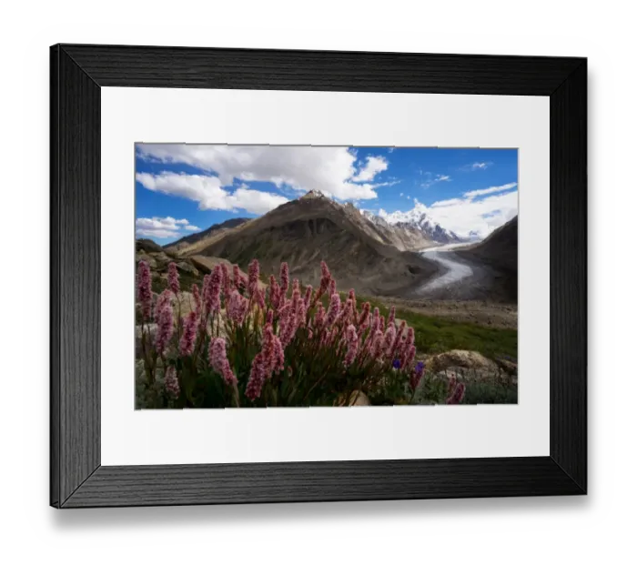 Framed Print : Dran Drung Glacier with the flowers in summer season Framed Print : Dran Drung Glacier with the flowers in summer season
