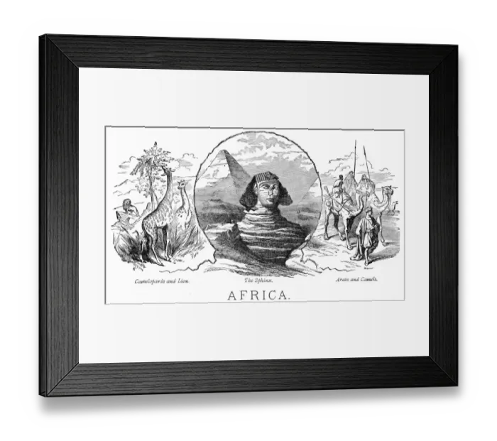 Framed Print : Animals from Africa engraving 1898
