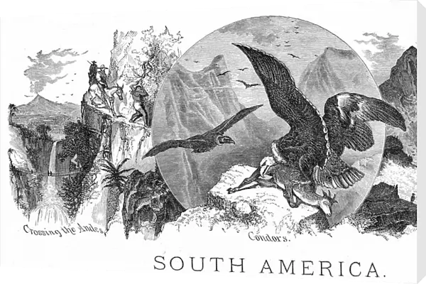 Scenes form South America engraving 1898