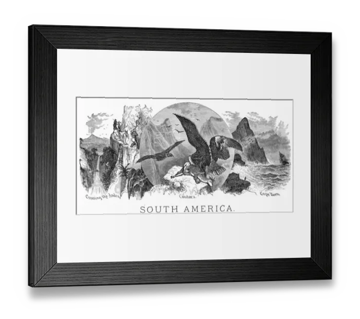 Framed Print : Scenes form South America engraving 1898