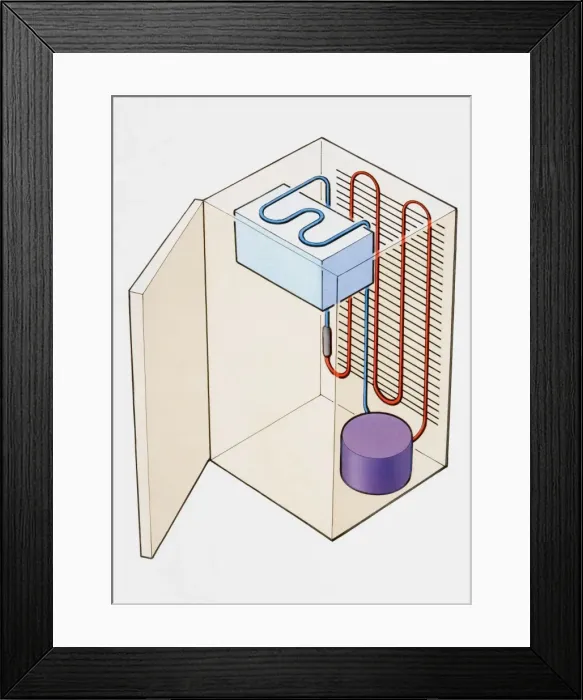 Framed Print : Fridge Framed Print : Fridge