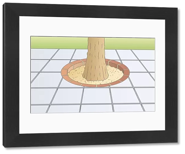 Digital illustration showing paving stones arranged around base of tree
