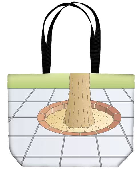 Digital illustration showing paving stones arranged around base of tree