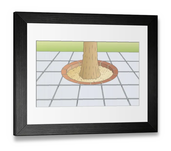 Framed Print : Digital illustration showing paving stones arranged around base of tree Framed Print : Digital illustration showing paving stones arranged around base of tree