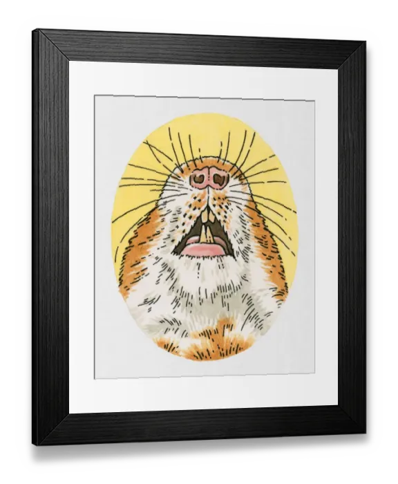 Framed Print : Illustration of guinea pig teeth Framed Print : Illustration of guinea pig teeth