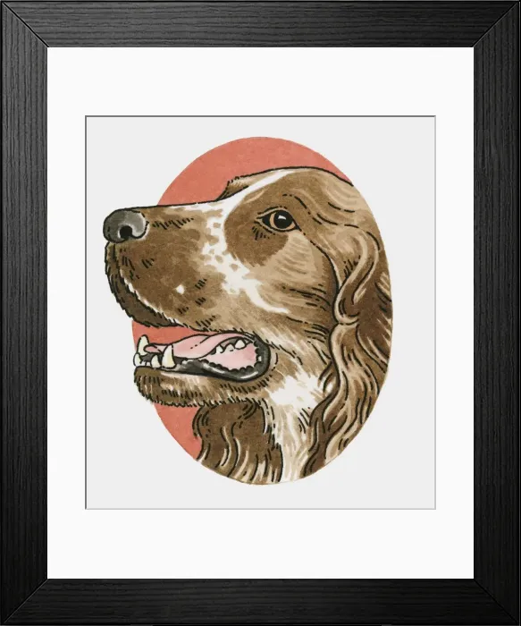 Framed Print : Illustration of English Springer Spaniel Framed Print : Illustration of English Springer Spaniel