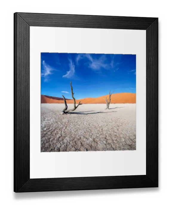 Framed Print : Old Trees. Dead Vlei, Namib Naukluft Park, Namibia, 690364794 Framed Print : Old Trees. Dead Vlei, Namib Naukluft Park, Namibia, 690364794
