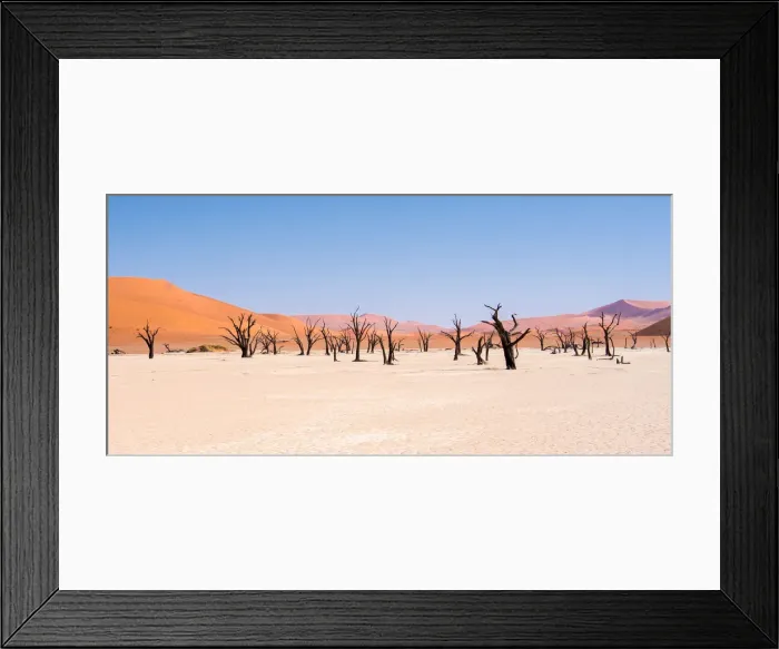 Framed Print : Dead trees in Dead Vlei, Namibia Framed Print : Dead trees in Dead Vlei, Namibia