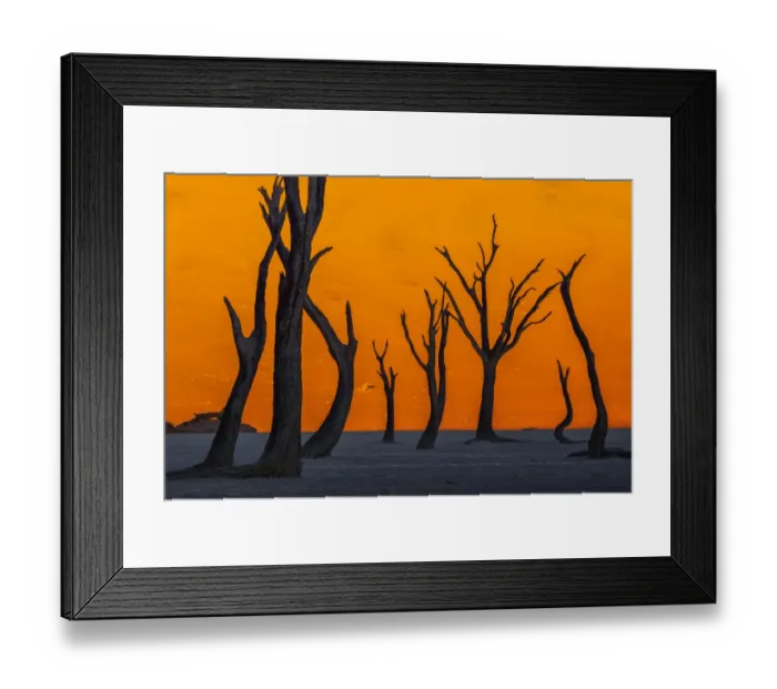 Framed Print : Silhouetted dead Acacia tree with sand dunes at Dead Vlei, Namibia
