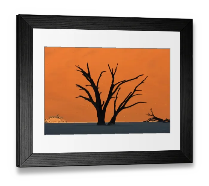 Framed Print : Silhouetted dead Acacia tree with red sand dunes at Dead Vlei, Namibia Framed Print : Silhouetted dead Acacia tree with red sand dunes at Dead Vlei, Namibia