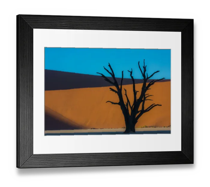Framed Print : Dead Acacia tree silhouetted against sand dunes at Dead Vlei, Namibia