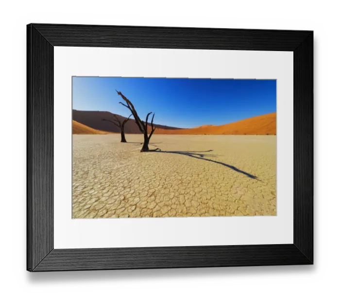 Framed Print : Shadows from the dead Camel thorn Acacia trees fall onto the ancient clay surface of Deadvlei at sunrise. Namib-Naukluft National Park, Namibia