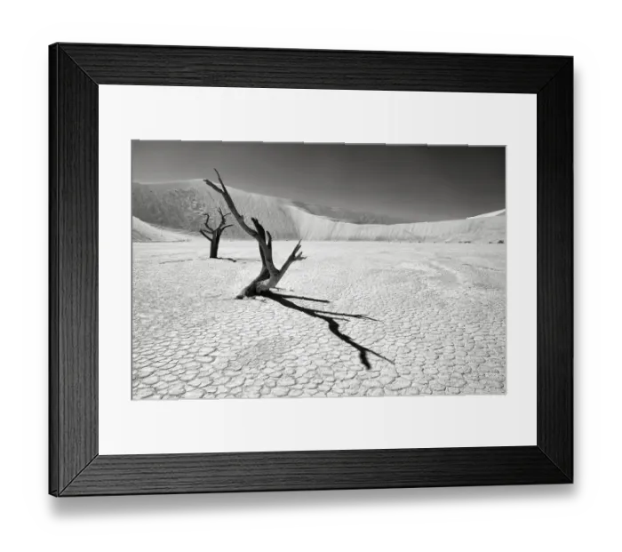 Framed Print : The iconic dead acacia trees of Deadvlei in Namibia photographed in Infrared, Namib-Naukluft National Park, Namibia Framed Print : The iconic dead acacia trees of Deadvlei in Namibia photographed in Infrared, Namib-Naukluft National Park, Namibia