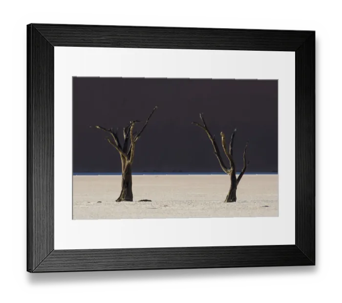 Framed Print : Dead trees in the area known as the Deadvlei which is deep within the confines of Sossusvlei Framed Print : Dead trees in the area known as the Deadvlei which is deep within the confines of Sossusvlei