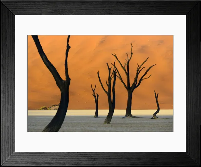 Framed Print : Deadvlei #3 Framed Print : Deadvlei #3