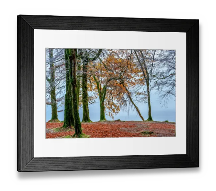 Framed Print : Fall Trees Along Loch Oich near Invergarry Scotland Framed Print : Fall Trees Along Loch Oich near Invergarry Scotland